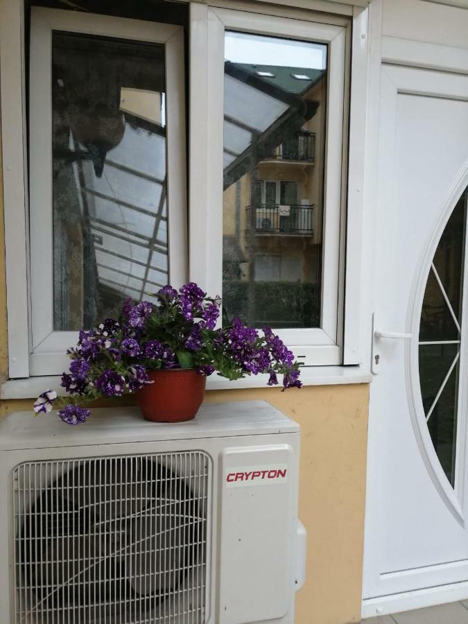 Apartman "Garden" Újvidék Kültér fotó
