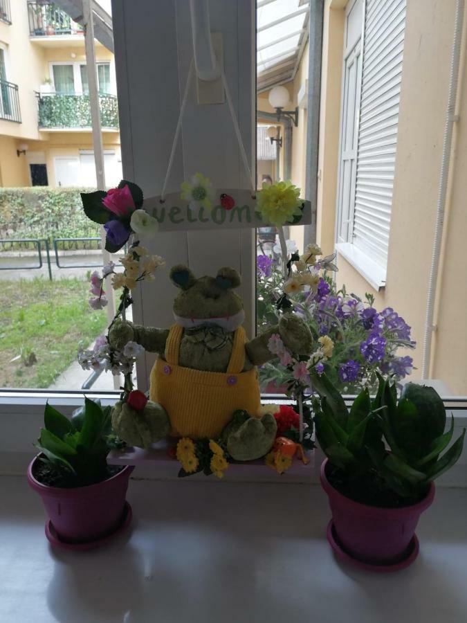 Apartman "Garden" Újvidék Kültér fotó